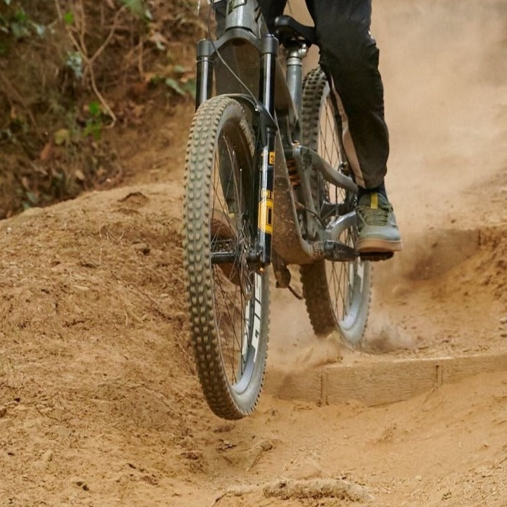 MTB Fork protection