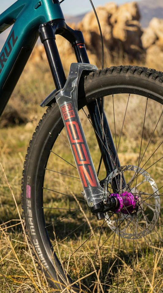 MTB Fork protection